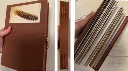 Mar 8 - I upcycled an old book into a sketchbook today for a Sketchbook Revival workshop!